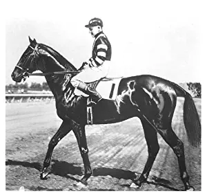 Horse Racing Triple Crown Winner War Admiral 8x10 Photo