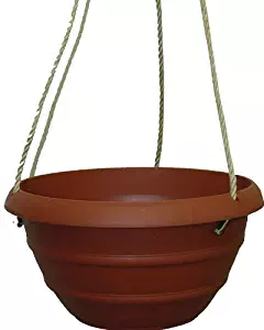 Planters Pride MSH1200F04 12-Inch Terra Cotta Marina Hanging Basket