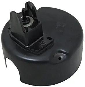 A.O. Smith 1011431-001 End Cover Switch