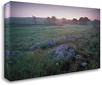 Misty Morning Over Prairie, Tallgrass Prairie National Preserve, Kansas 24x19 Gallery Wrapped Stretched Canvas Art by Fitzharris, Tim