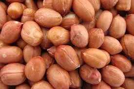 Raw Red Skin Peanuts 5 Pounds Bulk Great Price