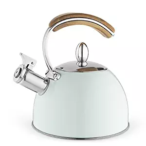 Pinky Up 5879 Pistachio Tea Kettle One Multi Colored