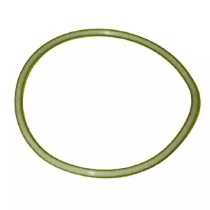 Oster 107375 sealing ring for In2itive blenders.