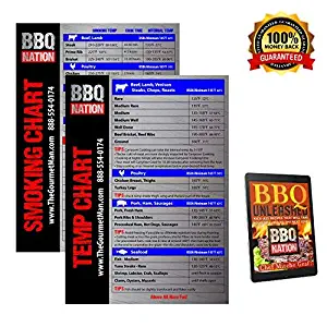 BBQ NATION New Item Economy Indoor Meat Temperature Fridge Magnets for Smoking and BBQ Grilling- Free BBQ Recipe Book