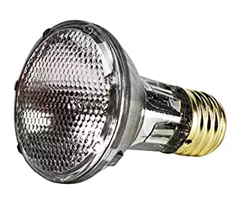 GE Energy Efficient Halogen PAR20 Light Bulb, 1 Year Life, Indoor Floodlight, 38 Watt, 490 Lumens, 2 Pack