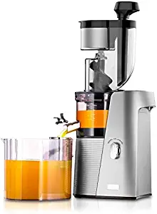 SKG A10 Slow Masticating Juicer Wide Chute Cold Press Anti-oxidation BPA Free High Volume Easy to Clean - Silver